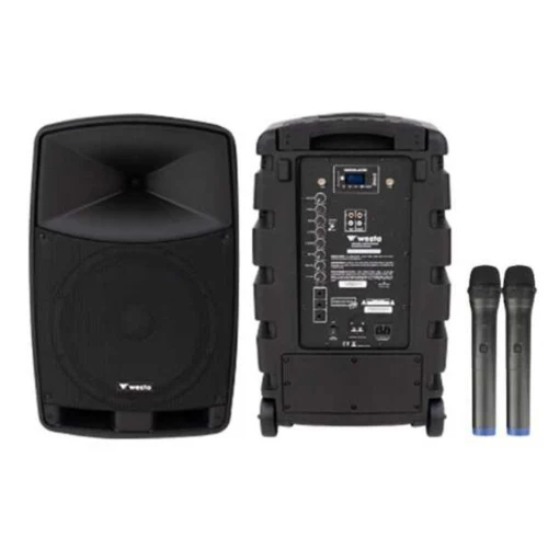 10" Profesyonel Taşınabilir Ses Sistemi