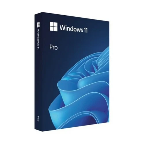 Microsoft Windows 11 Pro 32/64 Bit TR-ENG ESD Lisans (FQC-10572)