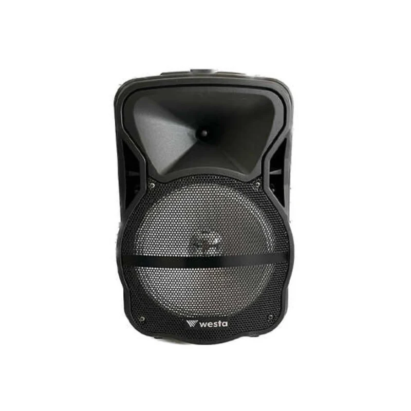 10 " 2 Yollu Şarjlı Aktif Kabin Hoparlör-1