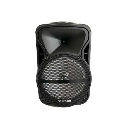 10 " 2 Yollu Şarjlı Aktif Kabin Hoparlör