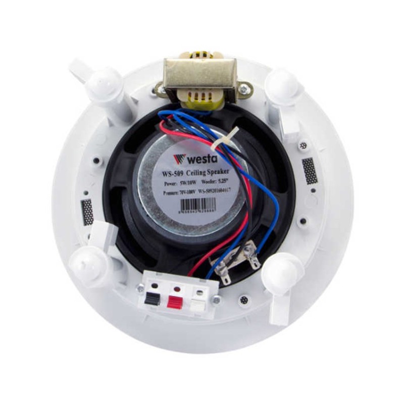 5.25" 2 Yollu Alçıpan Hoparlör-2