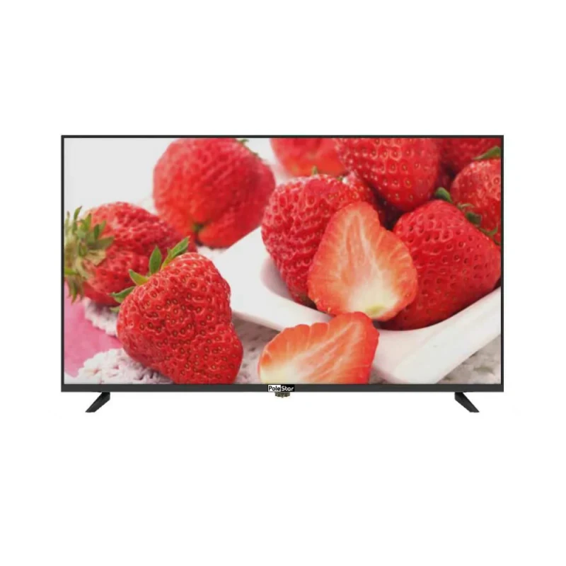 POLESTAR PS-5500A-4K 55" 4K CCTV Monitör-1