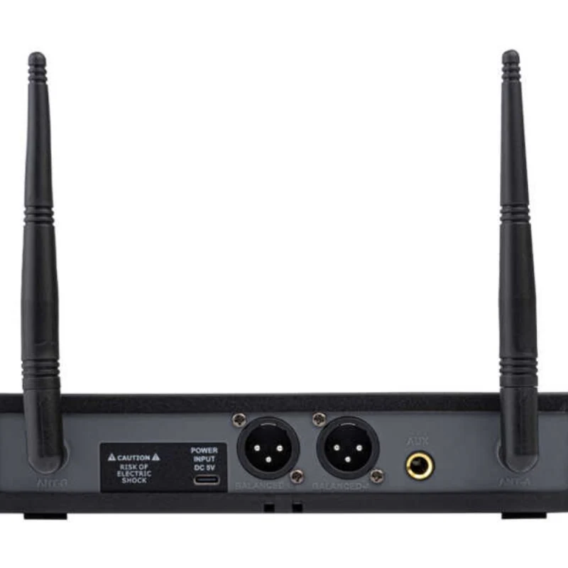 1 Receiver+2 Handheld Mikrofon-5